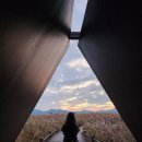 순천시미생물센터 | 가을 순천만습지 여행 (2024.11)