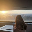 멀왓스테이 이미지