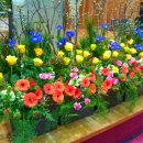 대전삼성성결교회 이미지