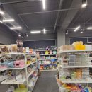 와우펫 | 양산 파충류샵 와우펫앤쥬 양산점 다녀온 후기 (양산 소동물샵 추천)