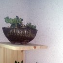 빛나환경 이미지