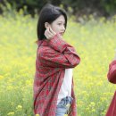 서연