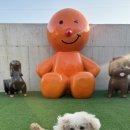 경주 스테이 스텐빌 이미지