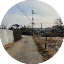 쌍정1리 이미지