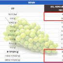 성샤인 이미지