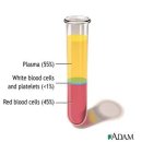 [하늘느낌 강좌] PRP (자가혈, 피주사) 시술 한번에 알기 - 첫번째 이야기 이미지