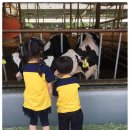 유림목장 이미지