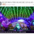 12월 가볼 만한 곳…반짝반짝 빛나는 여행지 6곳 이미지