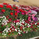 고은별
