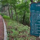 우장산공원길 이미지