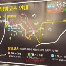 수놓는마을 | 밤하늘을 수놓는 감동, 청수리 반딧불이 축제 후기!