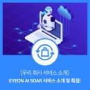 아이온(eyeon) 네이버블로그