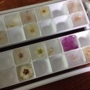 낙산계곡펜션 이미지