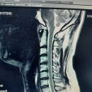 코뿔소마취통증의학과의원 이미지