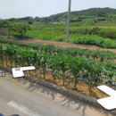 우리고추방앗간 이미지