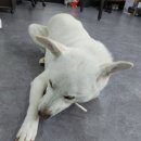 백구공인중개사사무소 이미지