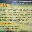 미청정