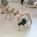 광안유치원 이미지