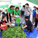 제2회 청송예술제 | 2026 영양 산나물 축제 총정리 | 일정·장소·프로그램·단체 버스 신청까지 한 번에