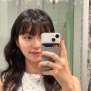 무드컬렉트