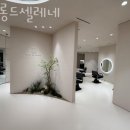 셀레네 이미지