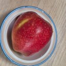 마이핏 | 감홍사과 사과취향고르기 쿠팡로켓프레시로 빠르게 받아본 마이핏사과 후기