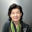 오선숙 네이버블로그