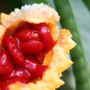 화개우체국 이미지