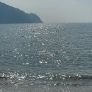 카카몽 애견미용실 | 오히려 좋아 ~