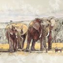 상아무역 이미지