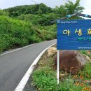 야생화 민박 이미지