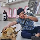 마마동물병원 이미지