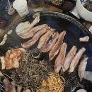 스팀팩 네이버블로그