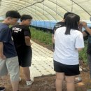 홍성군장애인종합복지관 이미지