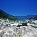 예향의 숲 이미지