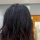 피앤피제주 - 제주시 연신로 130 | 피앤피제주