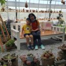 봉래초등학교병설유치원 이미지