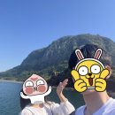 미영목장2 이미지