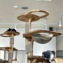 냥이놀이터 이미지