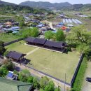 홍산객사 은행나무 이미지