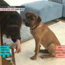 다루농장 이미지