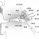 모란이비인후과의원 이미지