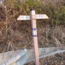 대룡산주유소 이미지