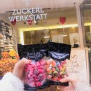 한채하우스민박 | [세계여행] D+82 두 번째 오스트리아 | 빈 한인민박·슈니첼·오페라하우스