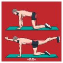 단양강변헬스(여성을 위한 PT & 근육케어실) | [하남미사PT/하남미사헬스장/스카이폴리스] 임신, 복부비만과 복직근이개 : 간과해서는 안 됩니다