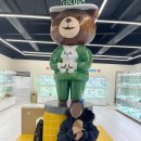 인천강아지분양 테디럽 이미지