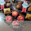 전여사네 돌산 갓김치&오동도김부각 | 여수 동백빵,갓김치 택배 여행 먹거리 기념품 내돈내산 후기