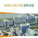 서울아산병원 2018년 신입 직원 공채 모집(~12월 27일) 이미지