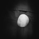 구포동물병원 이미지