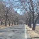 벗나무집 | [고령]캠프힐 올되다. 방문 후기 - 치유농장 인증 -